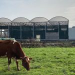 A floating farm in Rotterdam meets the climate crisis head-on