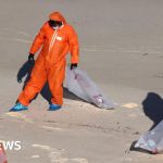 Sydney reopens beaches after tar ball scare