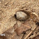 Sydney: Faeces and bacteria found in mystery balls on beaches