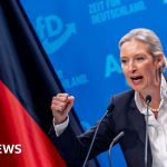 AfD embraces mass deportation of migrants as German election nears