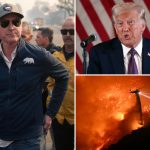 Gavin Newsom hits back at Trump over wildfire blame game, urges him to visit LA: ‘Take a look for himself’