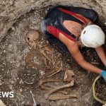 Land and wealth in Celtic Britain centred on women – DNA analysis