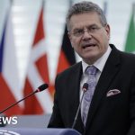 EU trade chief: Bloc may consider UK joining pan-Europe customs scheme