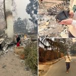 Exclusive | Six Californians describe terrifying moments they lost everything to LA wildfires: ‘Like being in a war zone’