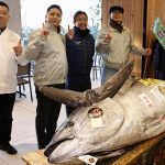 Motorbike-sized tuna sells for £1m at Tokyo auction