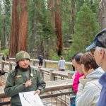 How the National Park System Is Faring Under the Trump Administration