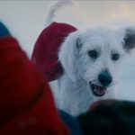 The Long History Behind Krypto the Superdog