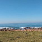Fisherman missing feared dead after ‘being attacked by TWO SHARKS’ while dragging in his catch in South Africa