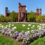 White House Reviewing Smithsonian Exhibitions to ‘Ensure Alignment’ With Trump’s Direction