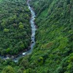 Latin America Is the Deadliest Region For Environmental Activists, Report Finds