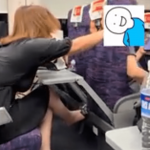 Watch moment furious woman repeatedly shoves seat after passenger reclined it in travel meltdown