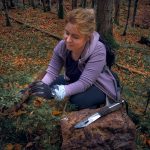 Is this the secret location of Hitler’s buried gold? Hunter closer than EVER to billion-pound discovery after 80 years