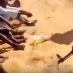 Sick moment TikTok-loving ‘Butcher of the Century’ Sudan warlord kills captives one by one during massacre of thousands