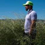H-2A Visas Are Not The Solution to Trump’s Mass Deportation of Farmworkers