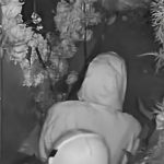 ‘Modern-day Bonnie and Clyde’ caught on camera romping at popular romantic restaurant – before launching brazen robbery