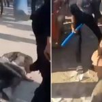 Hamas beasts filmed kneecapping Gazans as terrorists tighten grip again – but Trump threatens ‘FAST & FURIOUS’ response