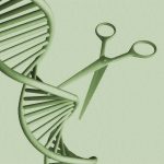 Can a One-Time Gene Therapy Lower Cholesterol?