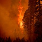 The World Is Failing Its 2025 Paris Agreement Target. Now What?