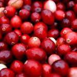 What Climate Change Means For Your Thanksgiving Dinner