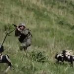 Horror moment pack of gun-toting ‘robot WOLVES’ storms battlefield as bots lead China’s mammoth Taiwan invasion force