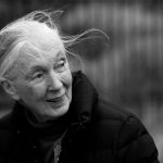 Jane Goodall Honored at Her Funeral as a Visionary Scientist and a Voice of Hope for the Planet