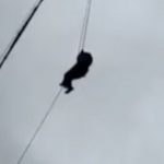 Terrifying moment family is forced to scale down 150ft crane after getting trapped at ‘sky-dining’ restaurant for hours