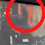 Horror moment bodybuilding businessman ‘shoots binman dead after getting stuck behind garbage lorry on his way to gym’