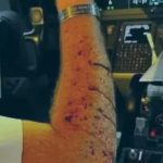 Mystery object that smashed into Boeing 737 cockpit finally identified after showering pilots with glass at 36,000ft