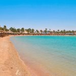 At least two dead and 36 injured after tourist coach crashes into truck near Red Sea beach resort