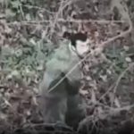 Shocking footage shows Russian troops fighting in Vlad’s meatgrinder war with no helmets or armour in warped ‘new trend’