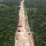 Anger after 100,000 trees are felled in Amazon to build road to COP30 climate summit as Trump slams ‘big scandal’