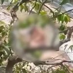 Shocking moment tourist couple are caught romping in broad daylight at waterfall beauty spot on Thai holiday island