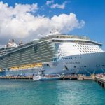 Woman, 66, died on Taylor Swift-themed cruise after falling overboard as family now sue firm for pouring too much booze