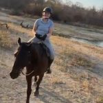 Ferocious lion drags safari tourist off her horse by her NECK leaving her with broken back in horror near-death attack