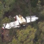 Pilot killed as two planes crash mid-air minutes before landing after ‘formation flight’ with four aircraft