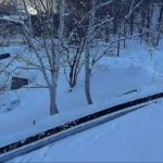 Boy, 5, dies after getting arm trapped in ski resort escalator in Japan sparking frantic 40-minute rescue