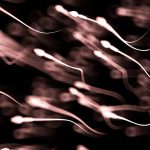 Sperm bank forces donors to take IQ tests as parents demand brainy babies