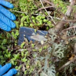 Missing backpacker’s phone found two YEARS after mystery disappearance sparking fresh search