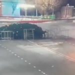 Bizarre moment driver smashes & topples 40ft Christmas tree in town’s main square on crazed joyride in clapped-out motor