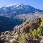 Five dead including two tourists after helicopter crashed into popular climbing route on Mount Kilimanjaro