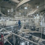 World’s biggest nuclear power plant to restart 15 years after Fukushima meltdown despite fears of another disaster