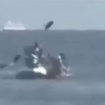 Shocking moment couple in kayak are attacked by jet ski thieves with an oar as crims steal wedding rings in beach heist