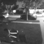 Moment delivery driver pets homeowner’s cat before picking her up and taking the moggy away