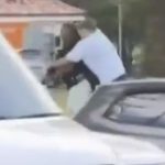 Dramatic new footage of Bondi Beach hero Ahmed al Ahmed tackling twisted terrorist before being shot FIVE times emerges