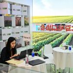 Soy Diplomacy Took Years to Build. It Could Collapse Far More Quickly