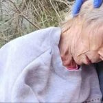 Elderly US woman found ‘sedated’ & dumped in wheelchair by the side of the road 200 miles away in Mexico