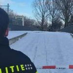 Driver ‘beaten’ to death after trying to stop snowball ambush on his car as two teens arrested – and family pays tribute