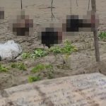 Five severed human heads found hanging from ropes on busy tourist beach in latest grim display of drug gang violence