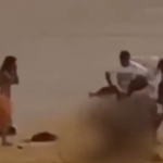 Dramatic moment shark attacks swimmer before victim hauls himself out of water in third mauling off Sydney within hours