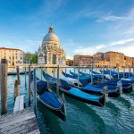 Cannibalistic jellyfish invade holiday hotspot as ‘warty comb’ creatures wreak havoc in lagoon after ‘arriving on ship’